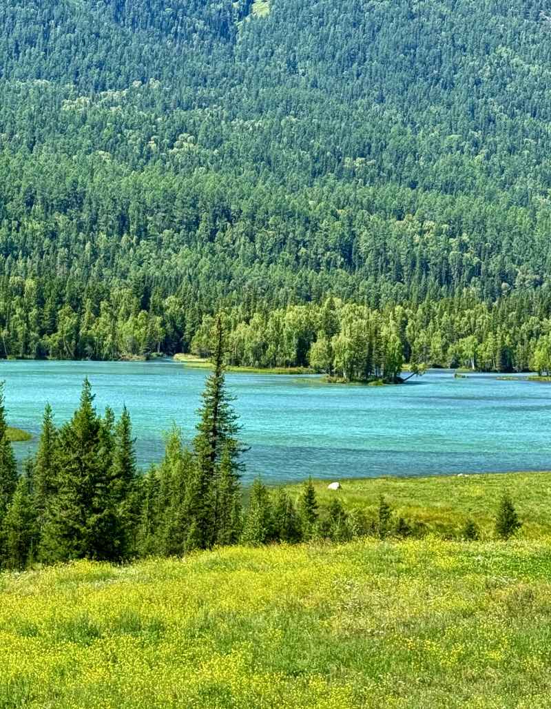 山水