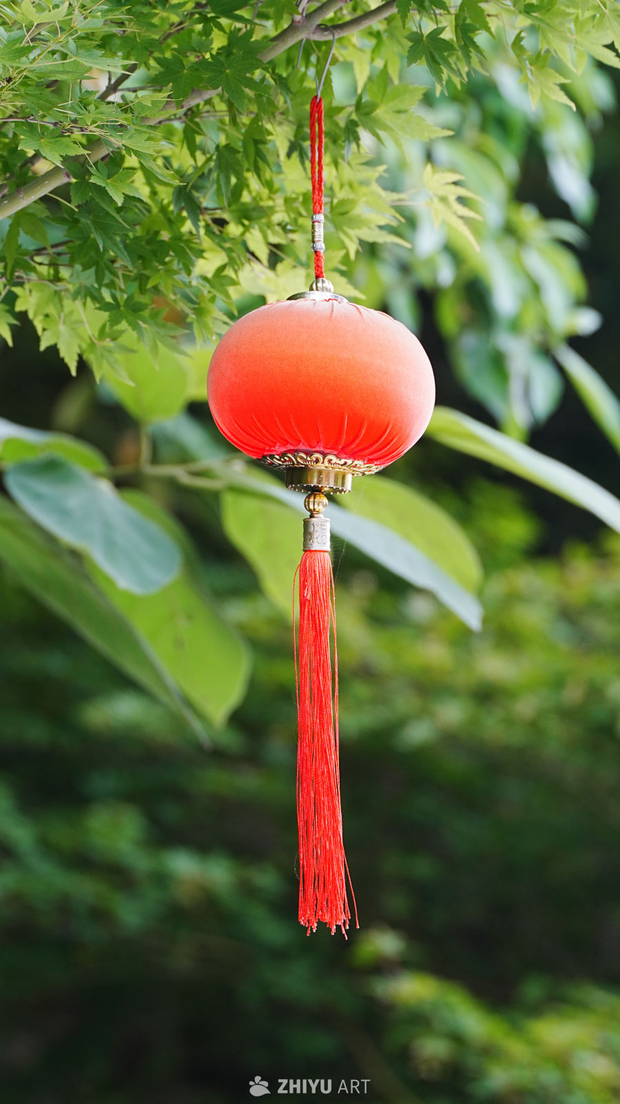 红灯笼与绿叶的和谐之美