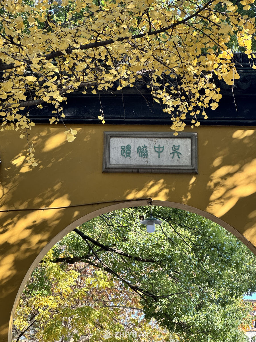小猫咪 素面 寺院 梅花糕