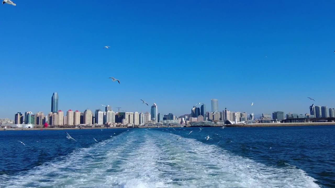 青岛蓝天蔚蓝大海高速行驶的船尾看海鸥群舞 1