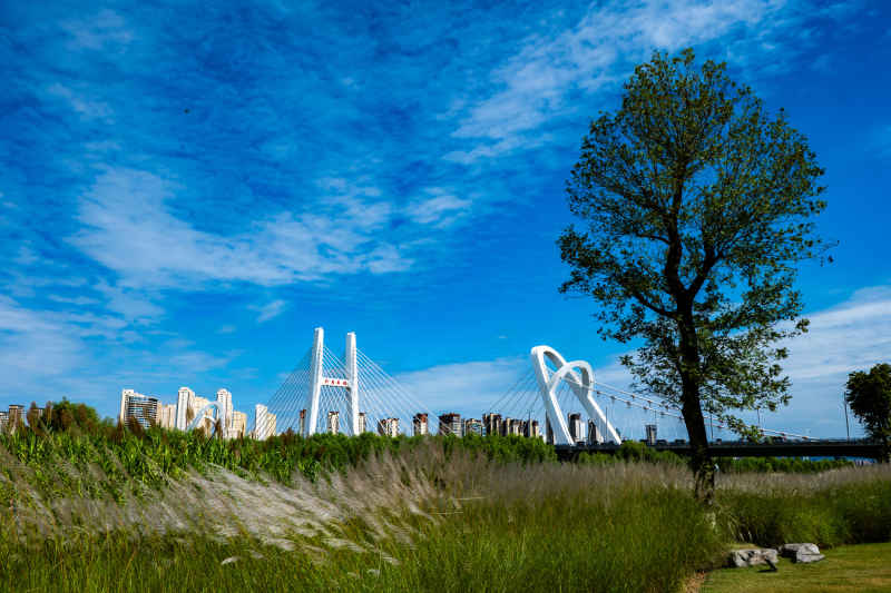 城市美景 5