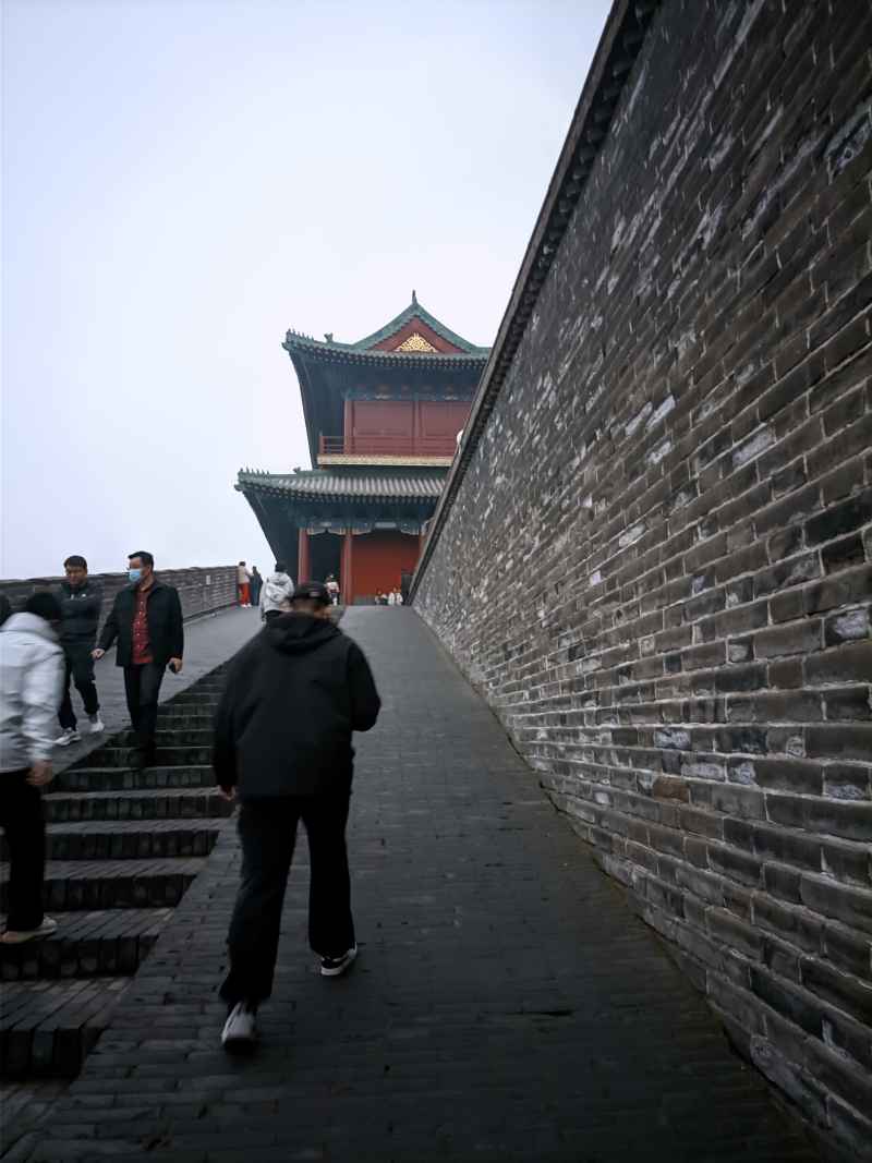 大观园 19