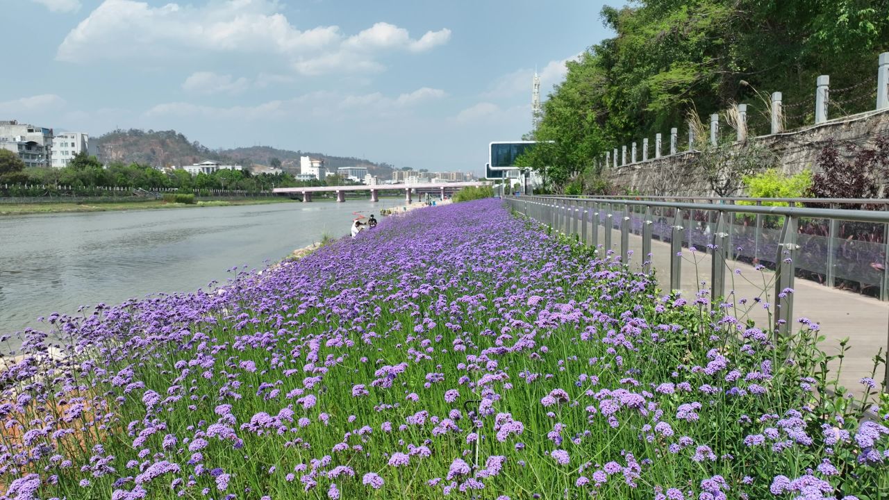 花海航拍 18