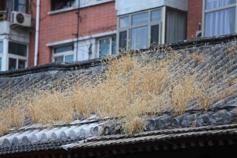 王府井 1