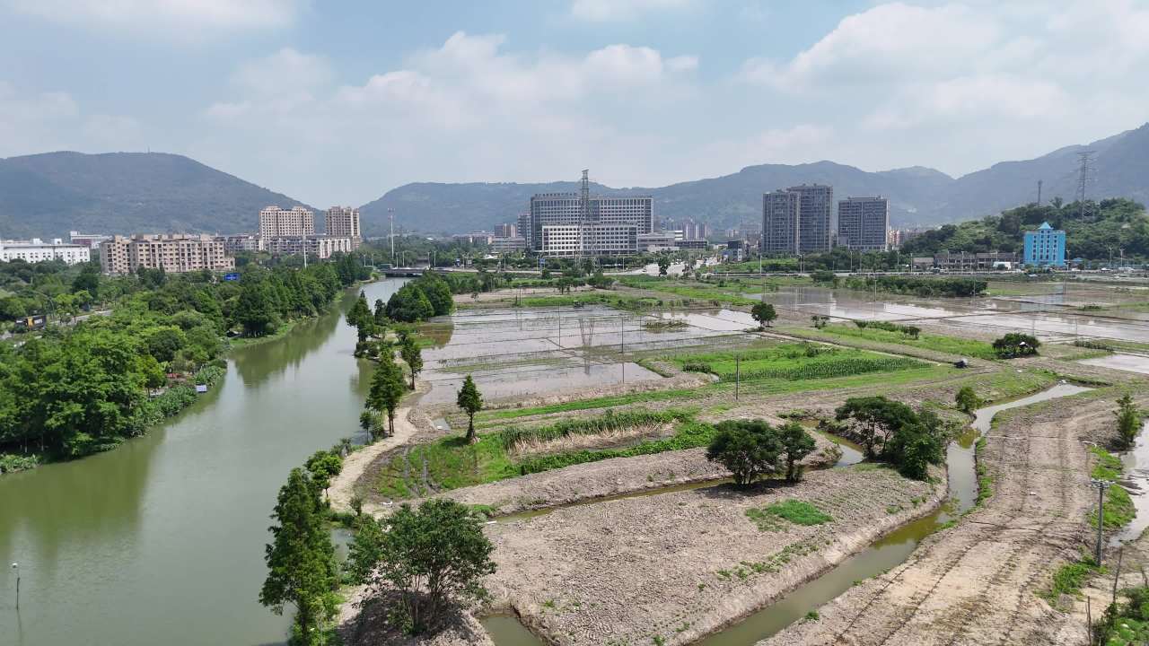 河畔农田的城市风景