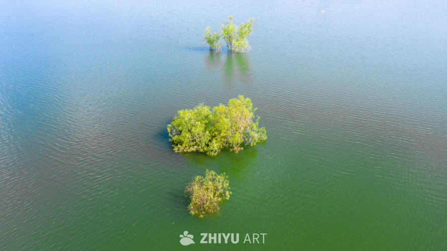 湖中绿岛