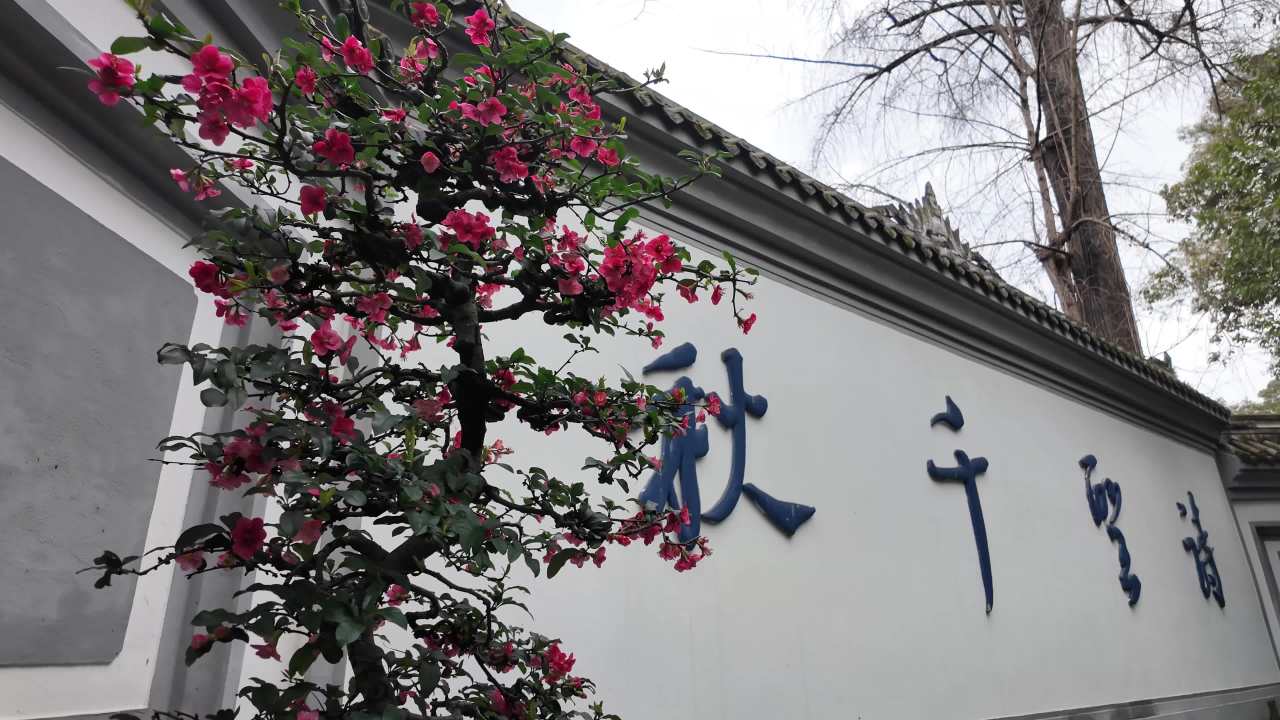 citywalk之成都杜甫草堂 19