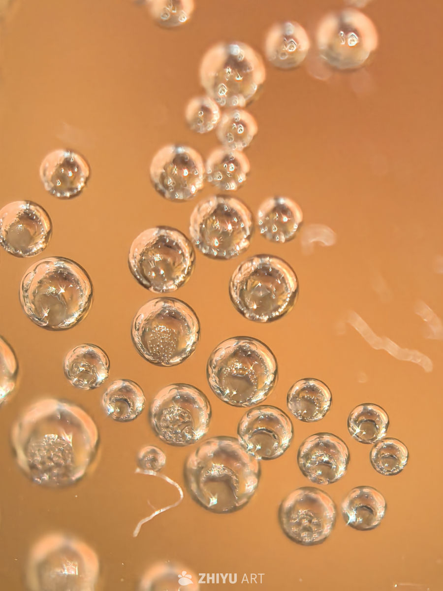 谁能猜得出来我拍的啥？