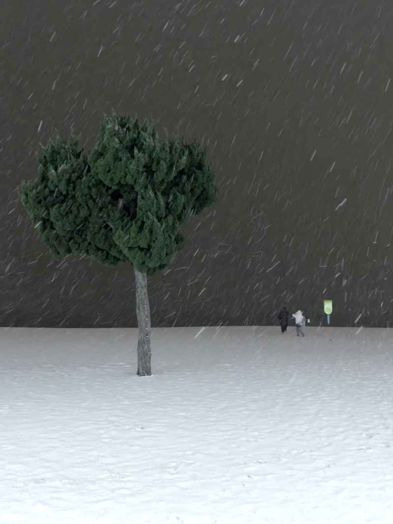 青岛第一浴场沙滩爱心树雪景