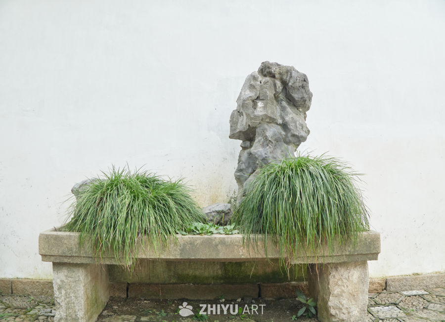 石槽置石与沿阶草特写