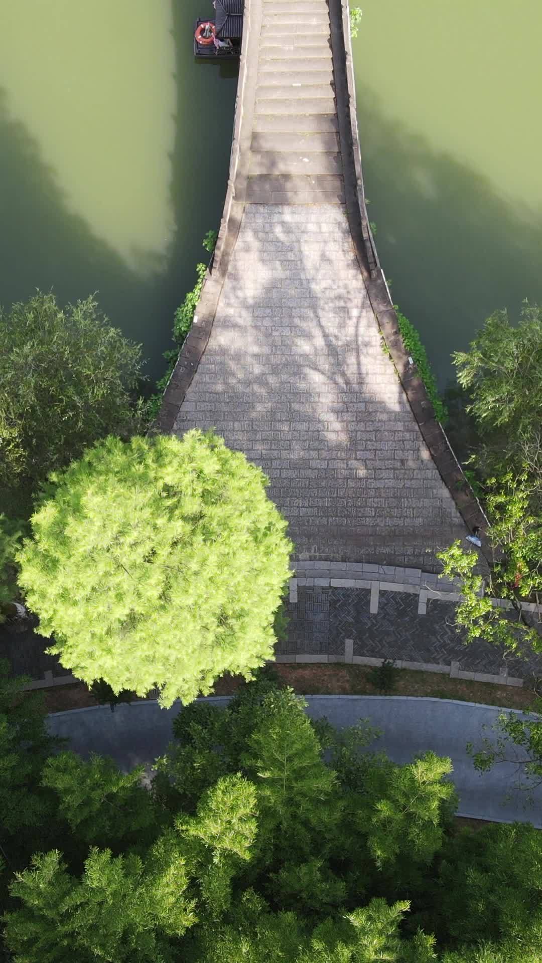 桥上光影与绿意