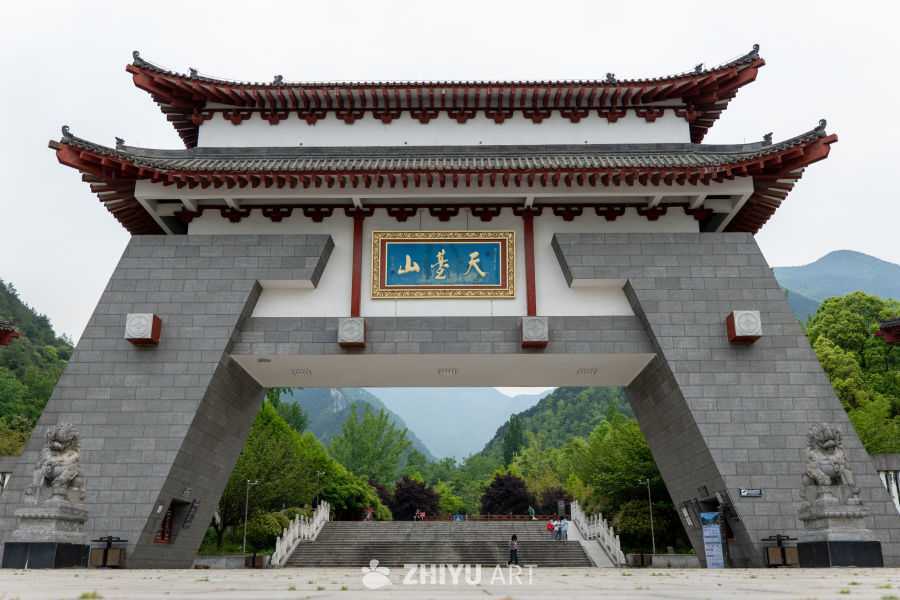 森林公园 16