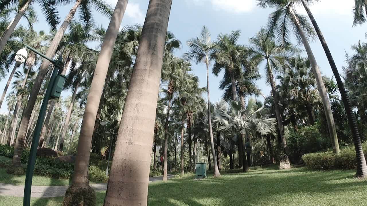 公园 10