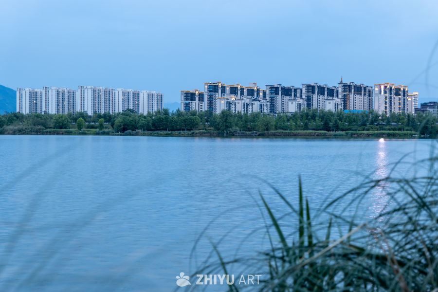 夜色下的大桥 13