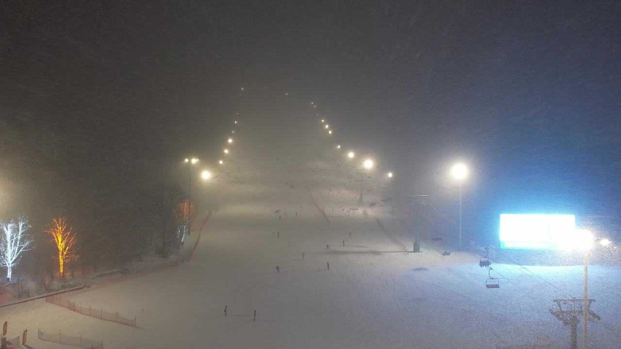 高山雾凇