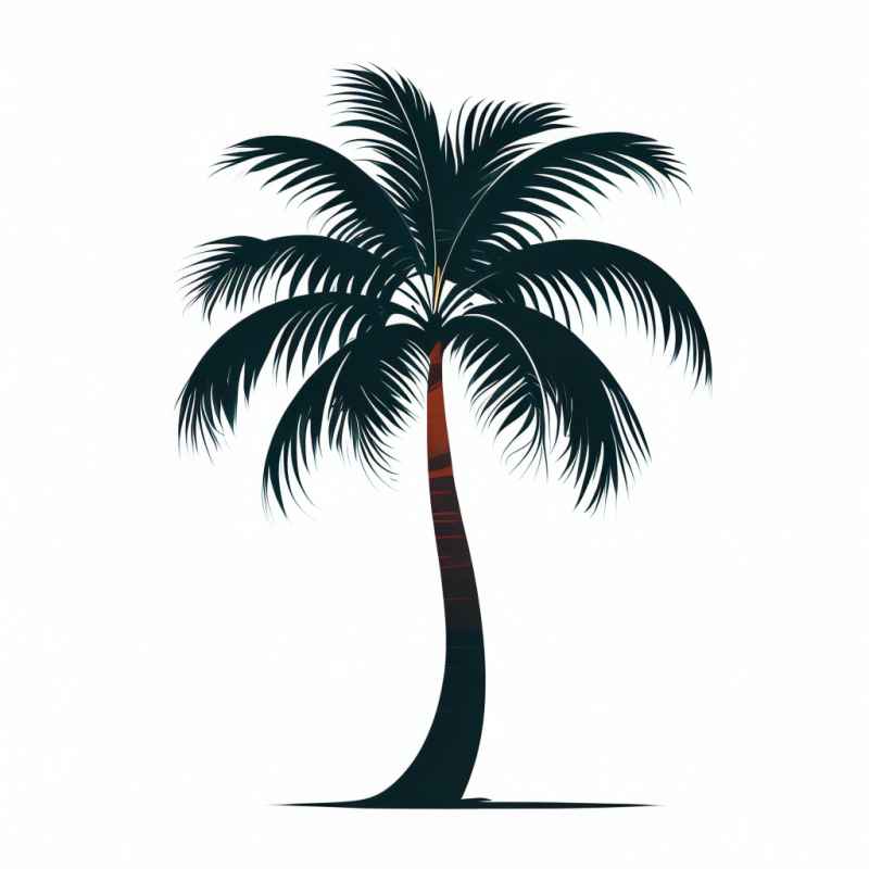手绘简约椰子树元素插画 6