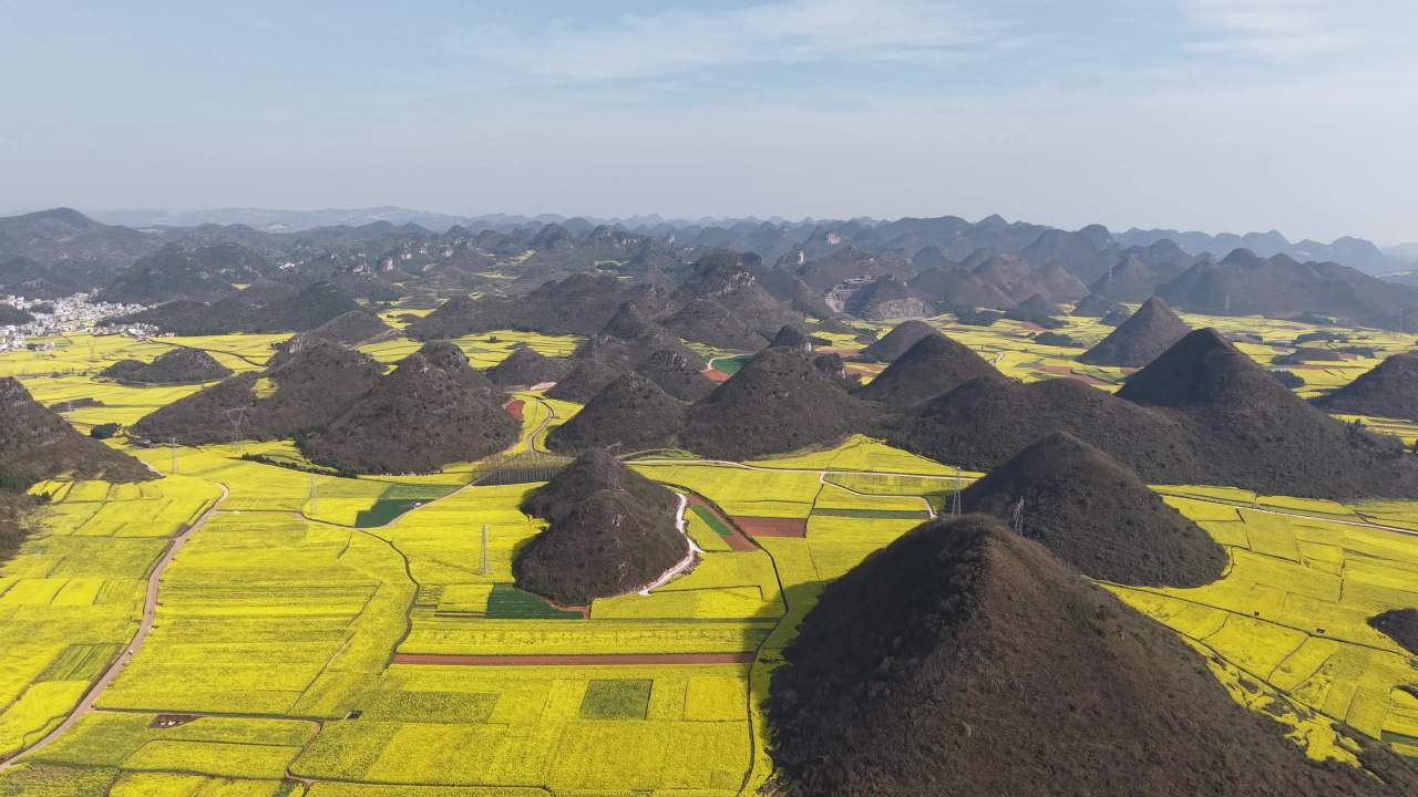 喀斯特油菜花海