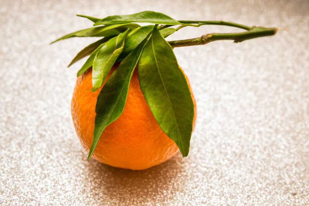 柑橘橘子水果健康