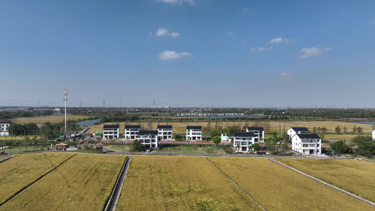 航拍乡村秋收现场 6