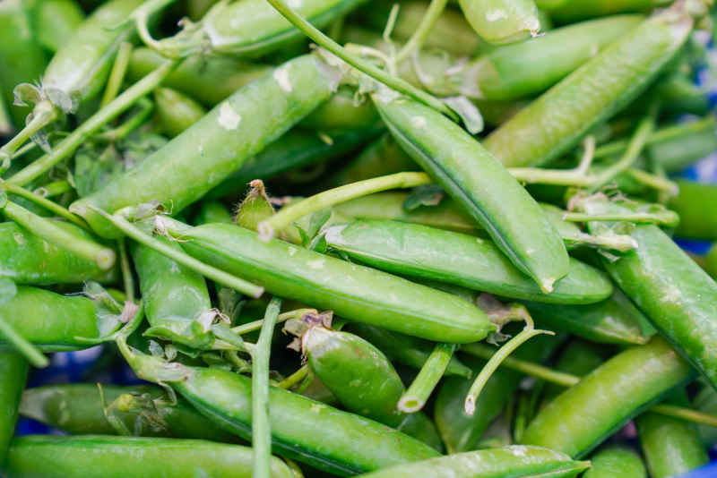 菜场的蔬菜 35
