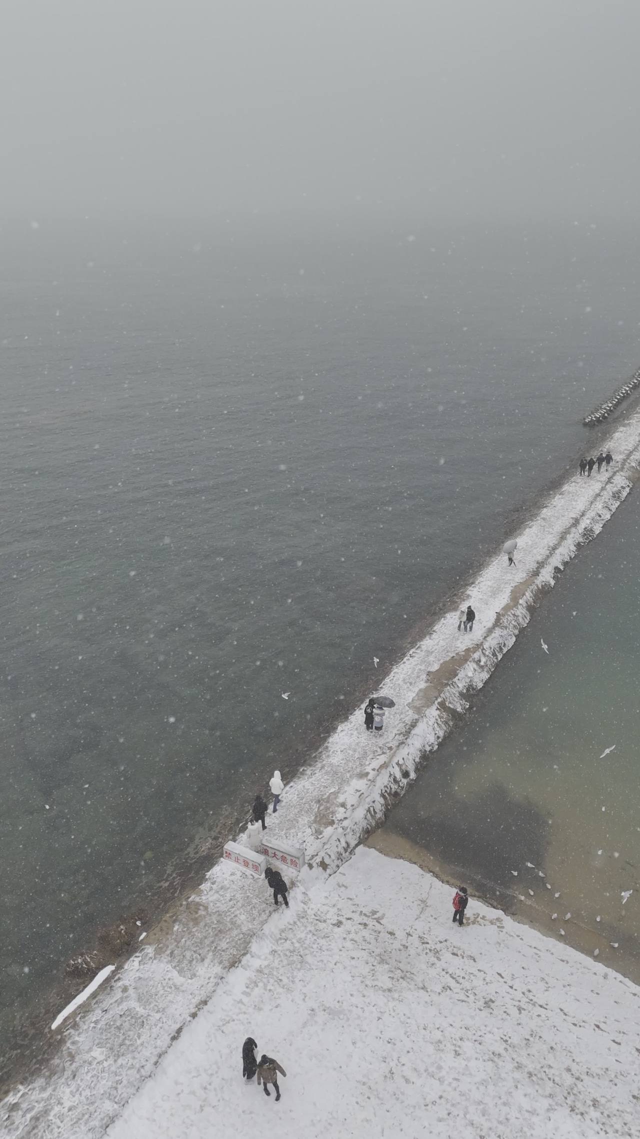 青岛八大关第二海水浴场海边雪景航拍 12