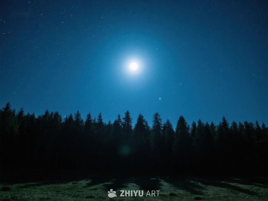月光下的森林夜景 571