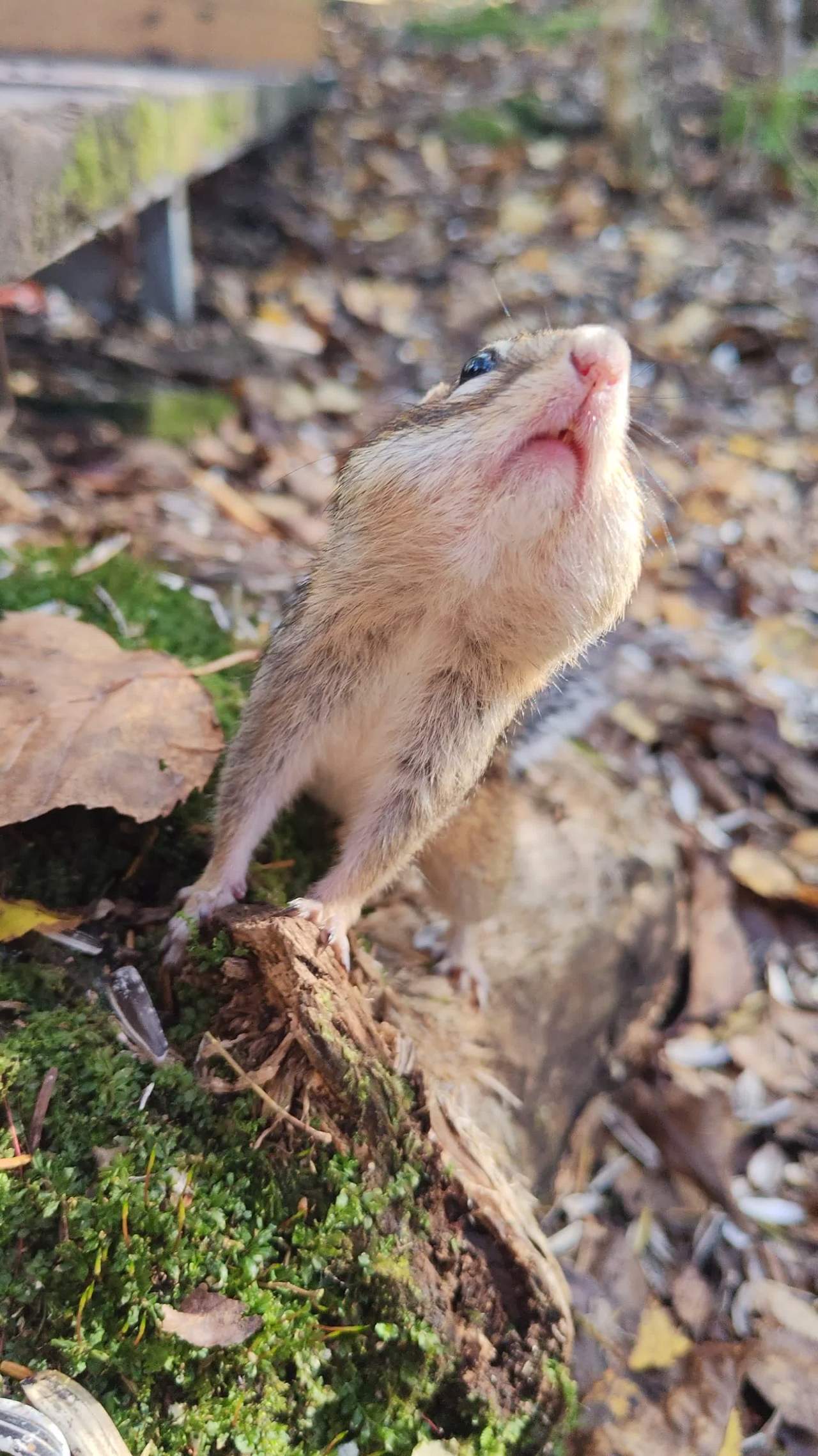 VID_20250926_141116 1