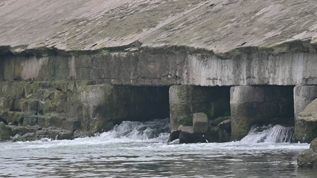 水