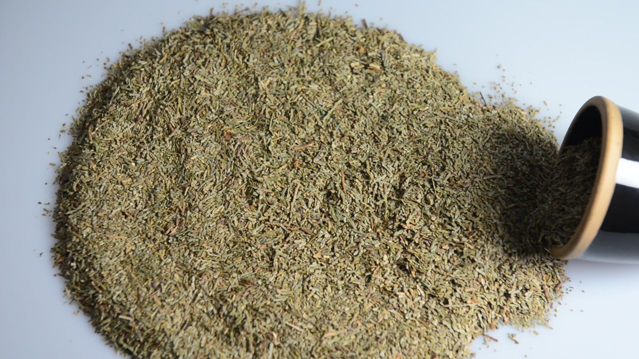 侧柏炭叶中药材 38