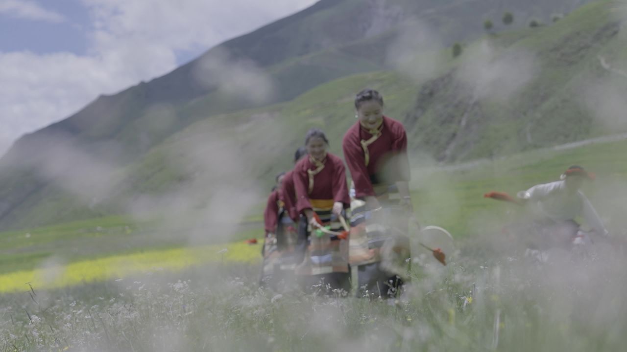 高原草地民族舞蹈