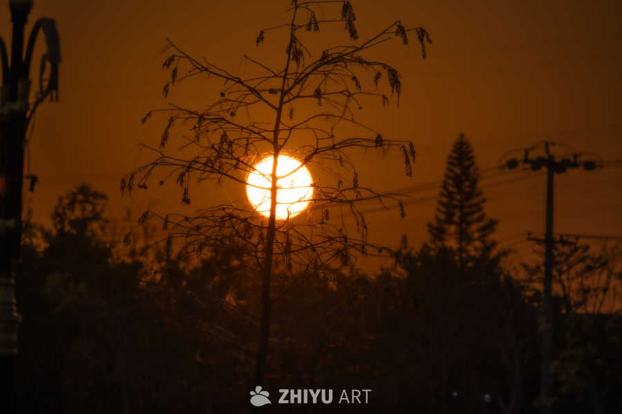 夕阳日暮
