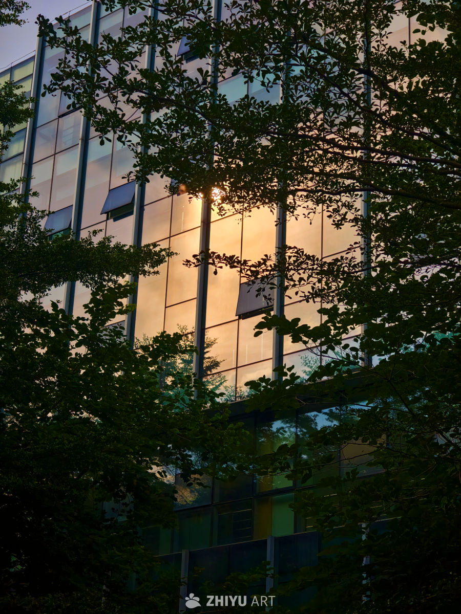 夕阳下的现代建筑