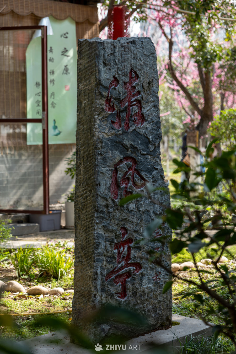 苏景园 49