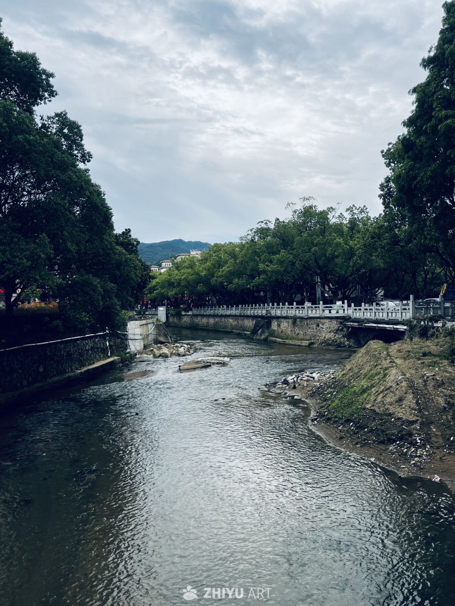 静谧的河流与绿树