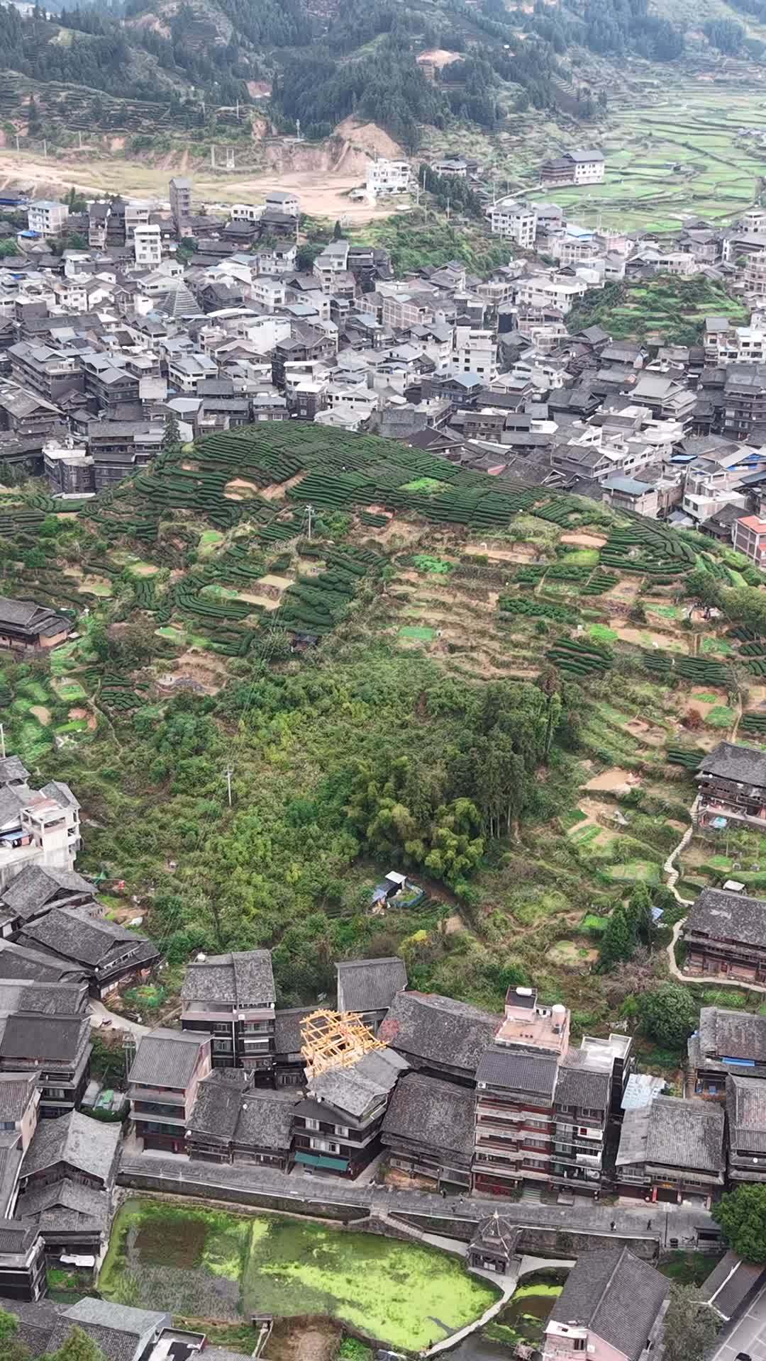 茶山上的宁静村庄