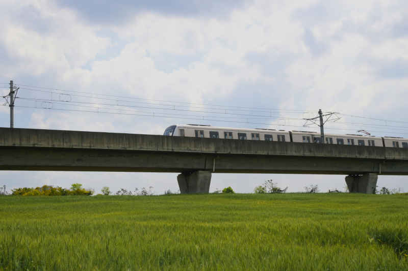 成都麦田