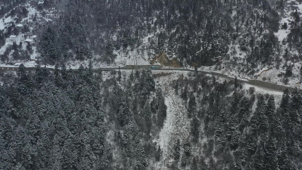 航拍大雪纷飞的鲁朗林海