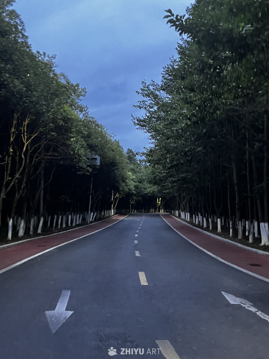 夜幕下的林荫大道