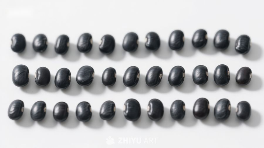 整齐排列的黑豆