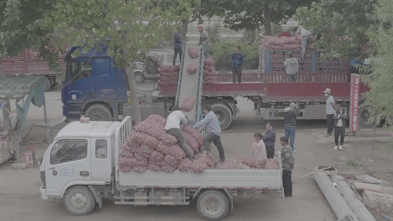 洋葱装载现场