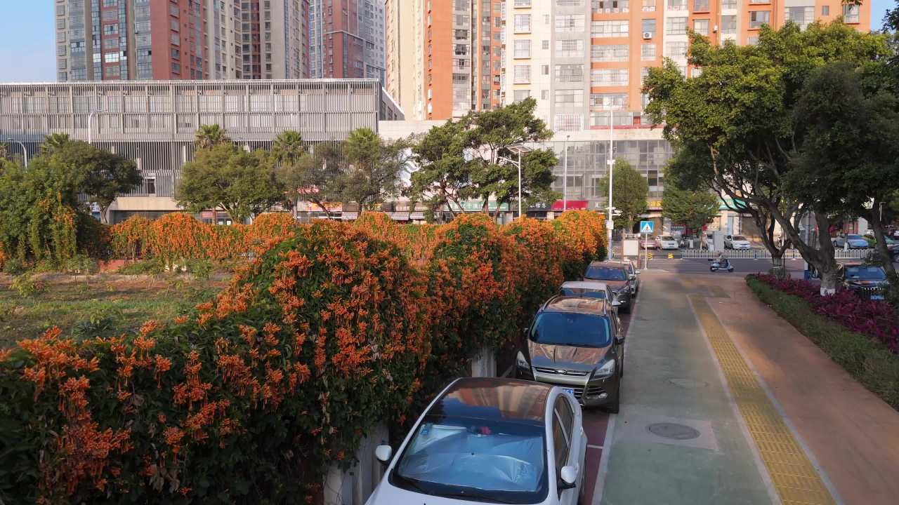 城市街道的早晨