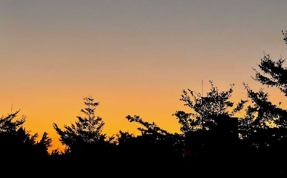夕阳剪影