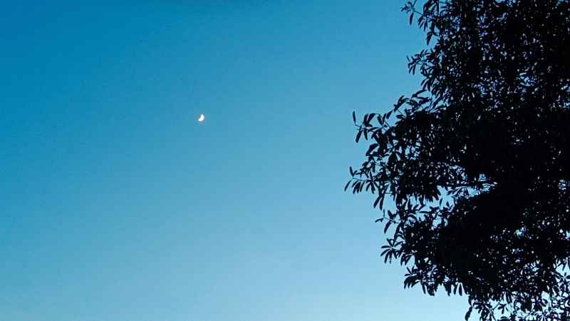星空等待者