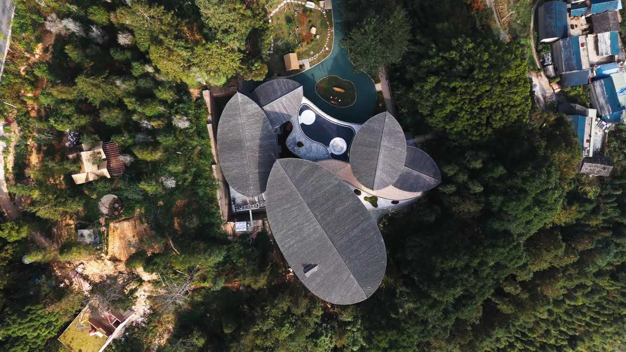 森林中的现代建筑