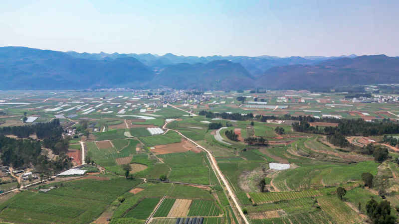 山川丘陵农田农业种植航拍图 