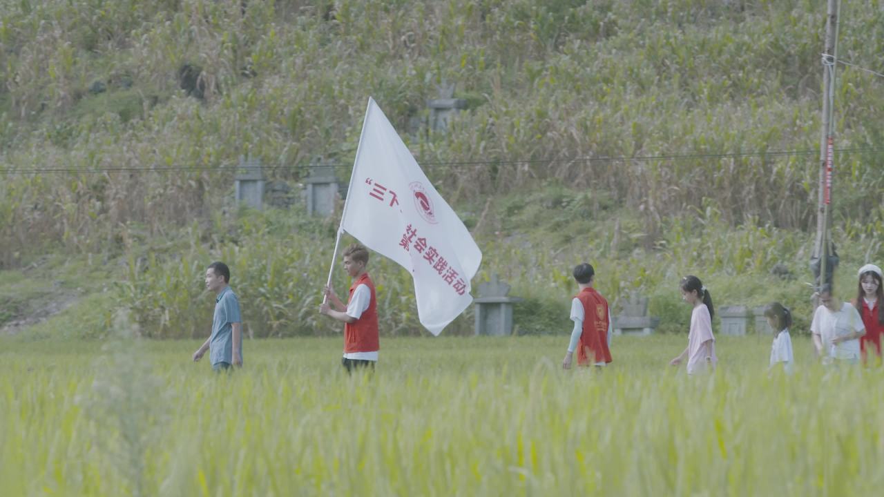 三下乡实践素材