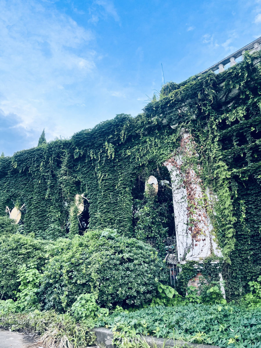 被绿植吞噬的废墟