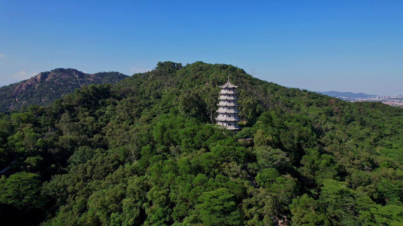 航拍漳州龙文塔景观