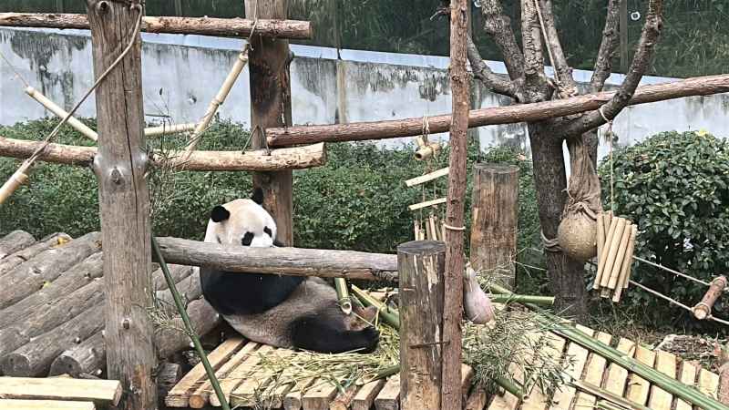 黔灵山之旅 21