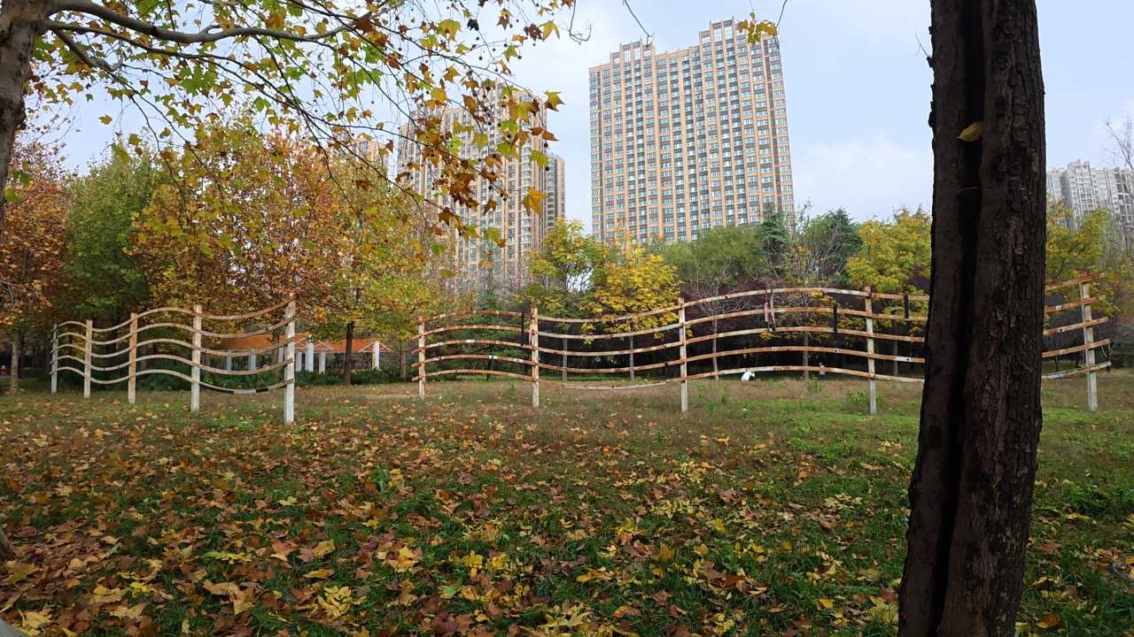 DJI OSMO NANO 4K实拍视频原片样片 15